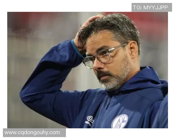 沙尔克04遭遇伤病困扰，德甲战绩堪忧