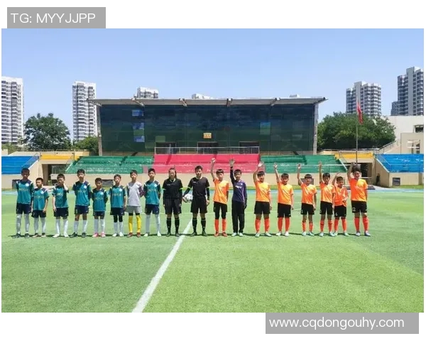 西安地区足球队比赛经验分析与表现评估研究 西安地区足球队比赛经验分析与表现评估研究